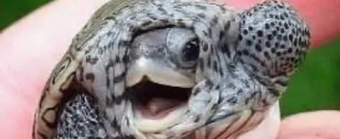 dWAjpRIyXZ.jpg