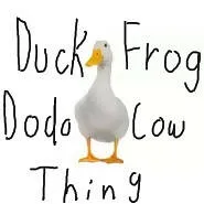 qXFLoqQPj7.jpg