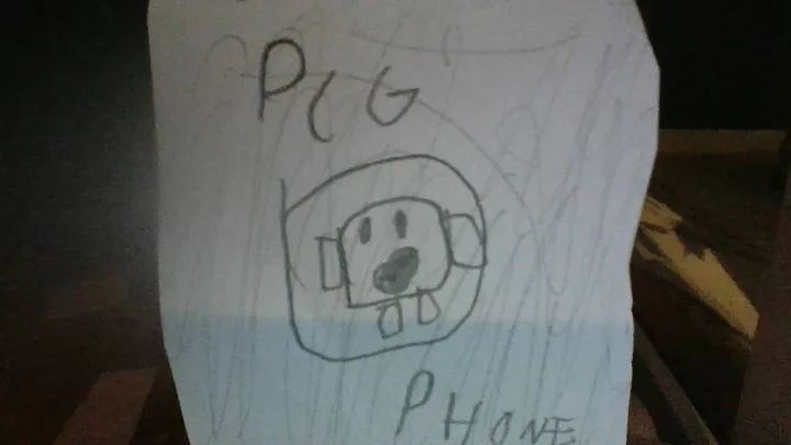 Cover for pcg phone