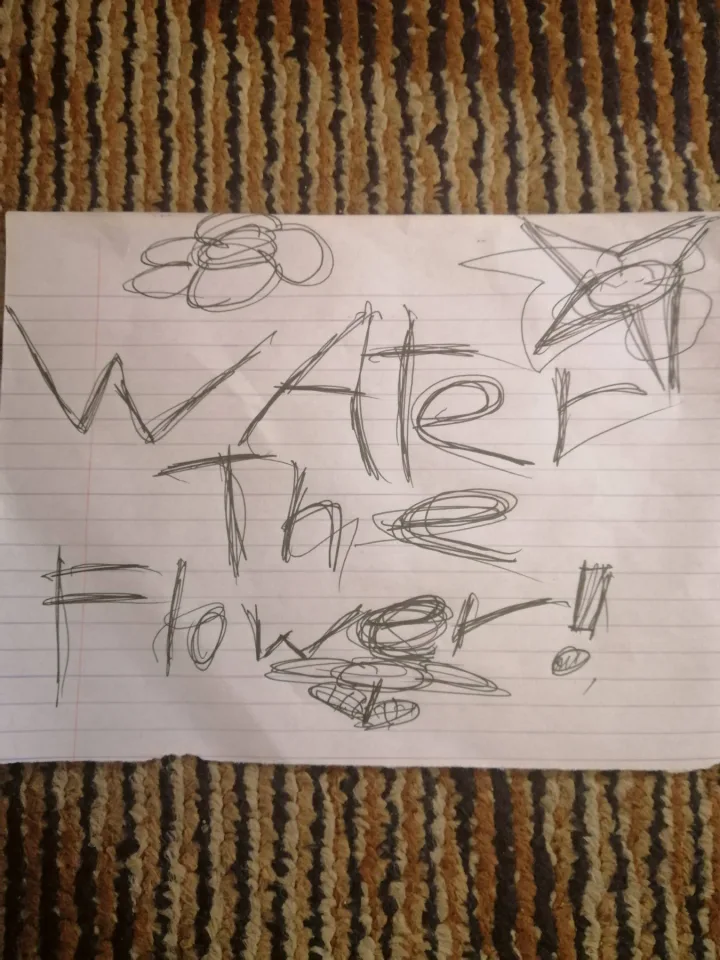 Cover for WAter The Flower! PCG